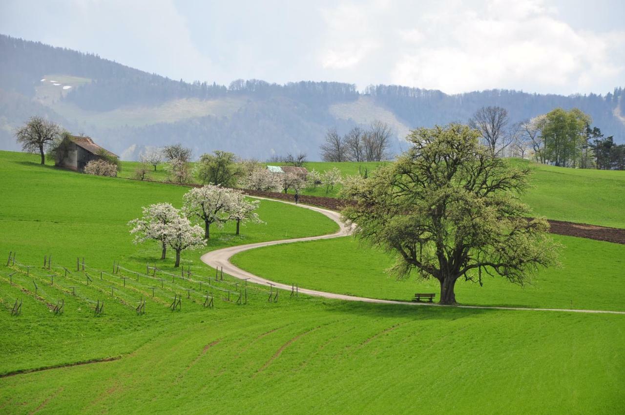 B&B Zum Rossli Zunzgen Exteriér fotografie