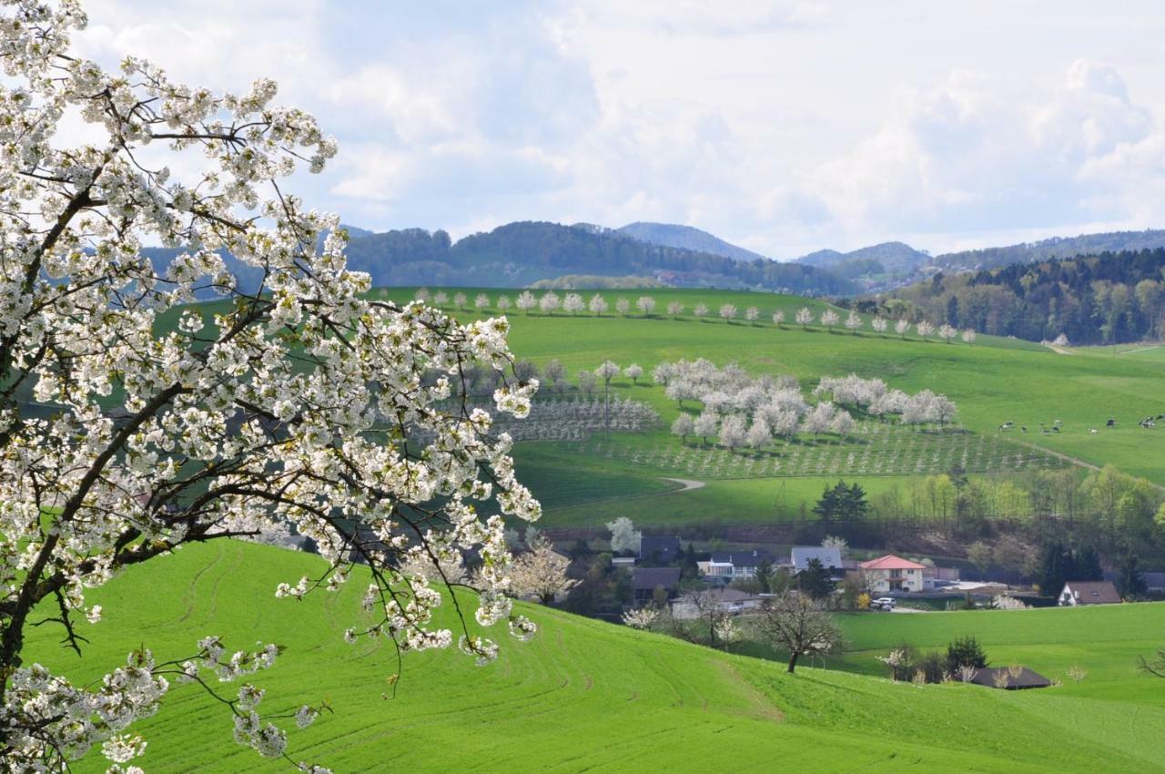B&B Zum Rossli Zunzgen Exteriér fotografie
